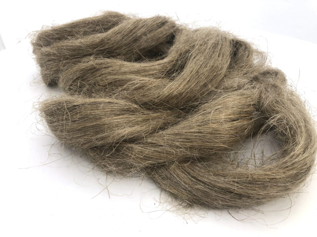 Aivinatopsi 50 g